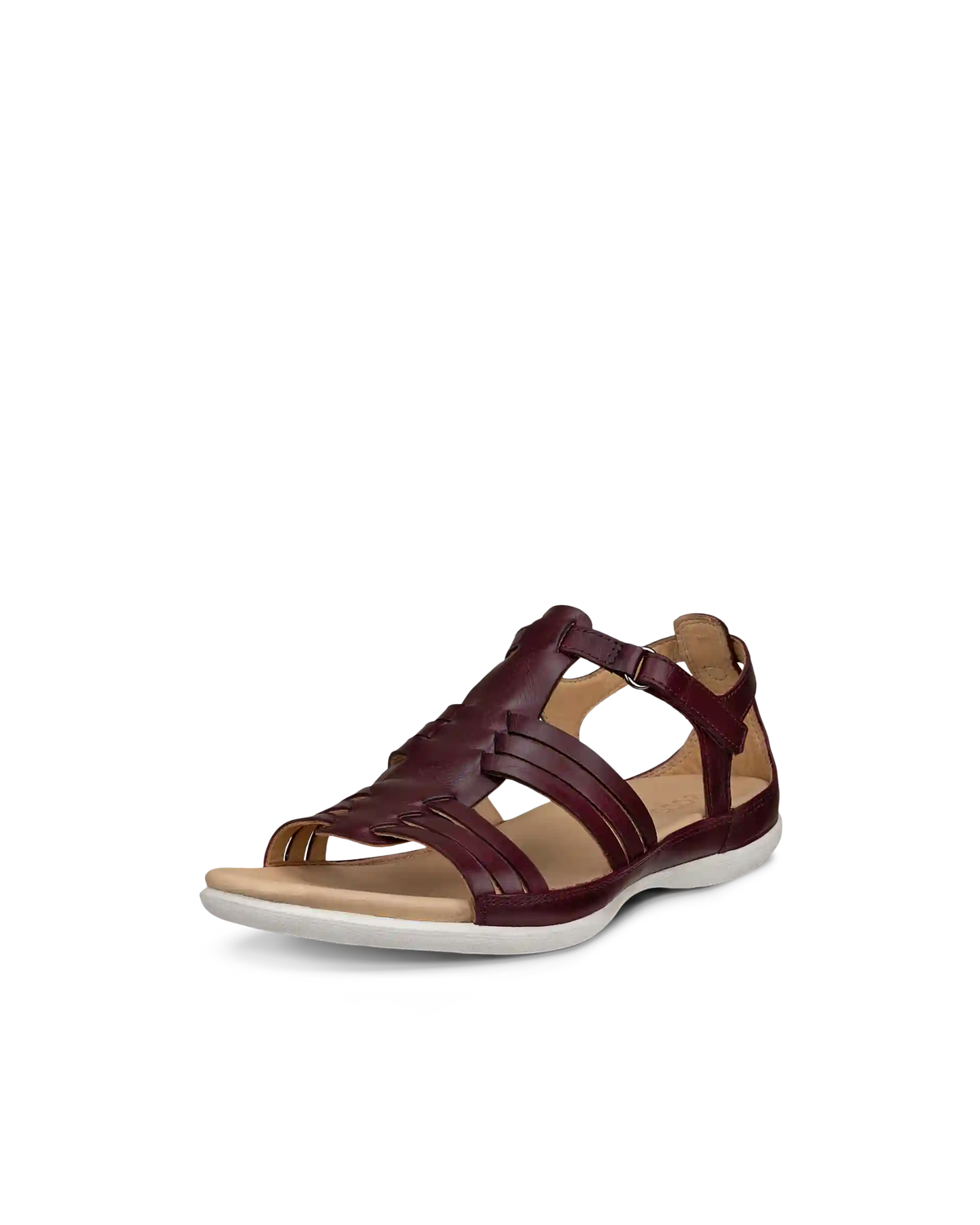 ECCO Flash