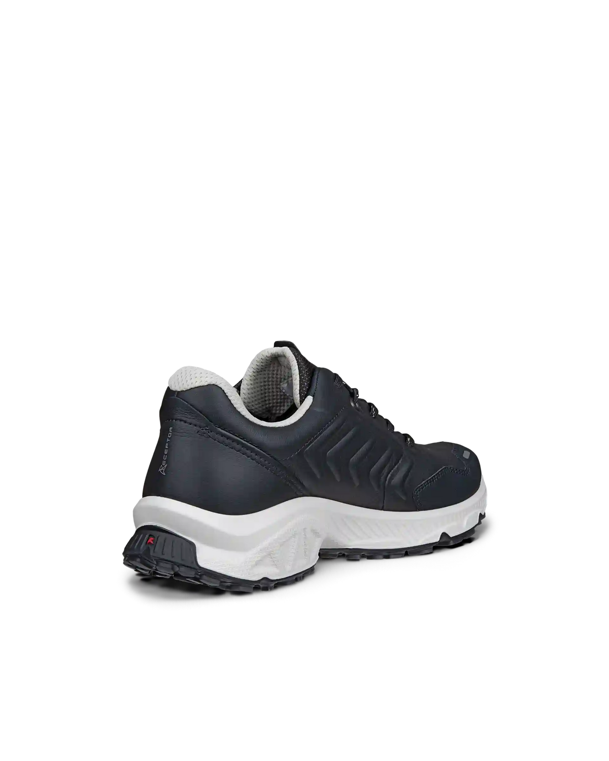 ECCO Receptor XP