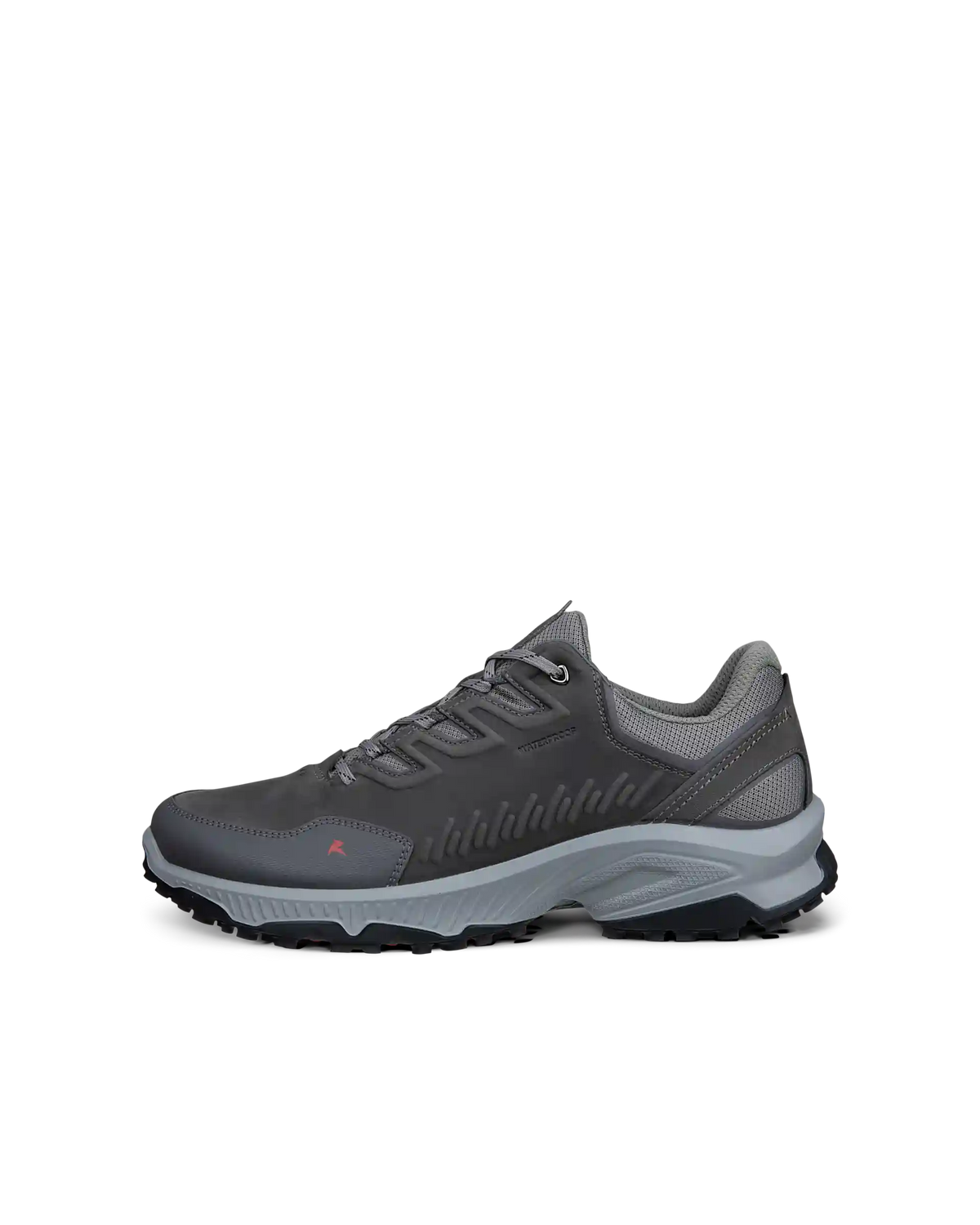 ECCO Receptor XP