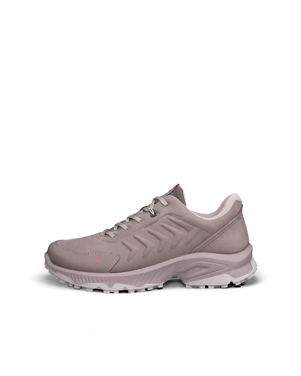 ECCO Receptor XP