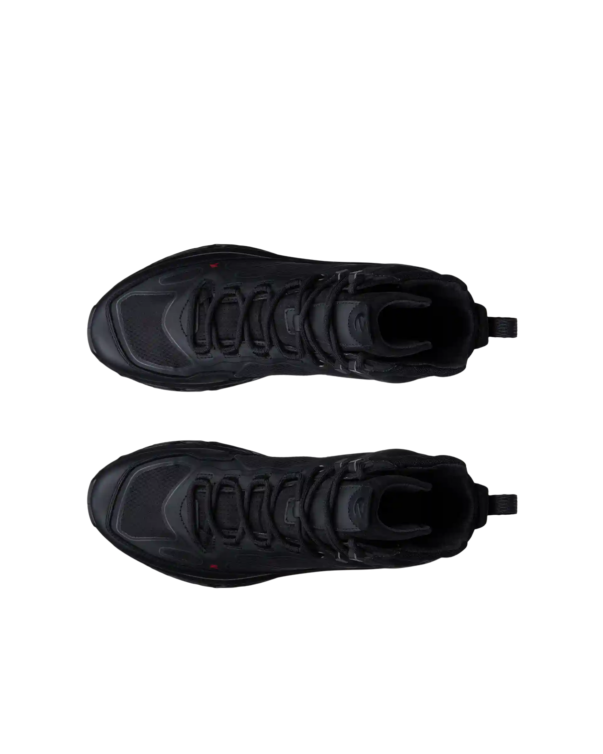 ECCO Receptor Xp