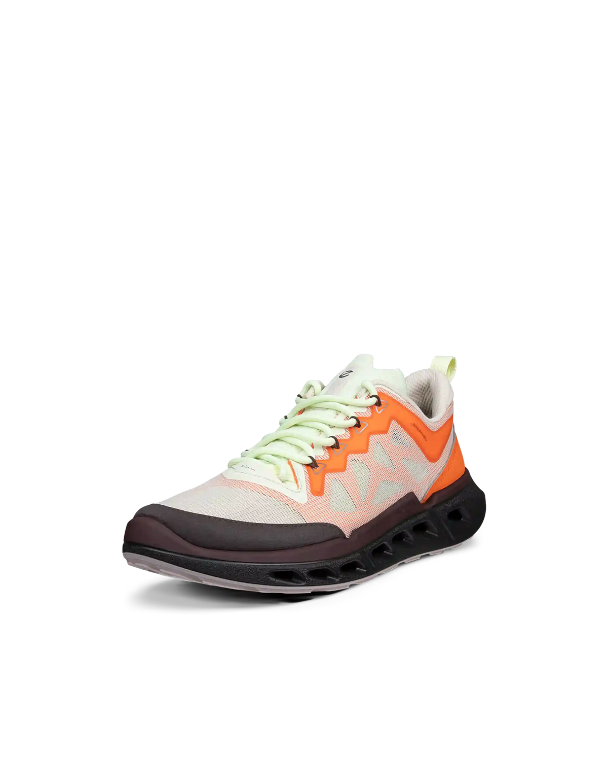 ECCO Biom 720 Breathru