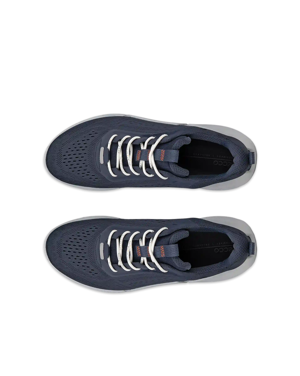 ECCO Biom 2.0
