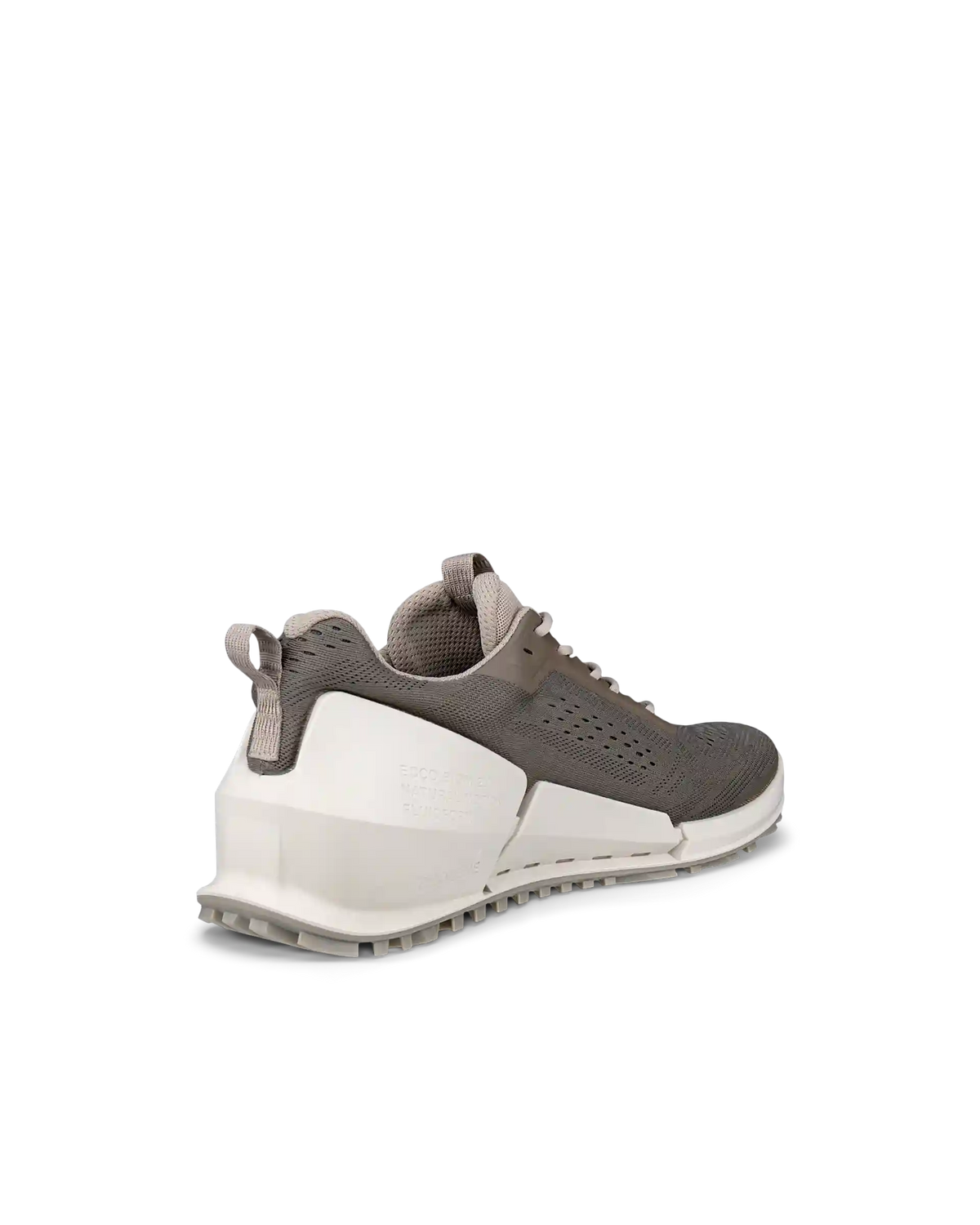 ECCO Biom 2.0