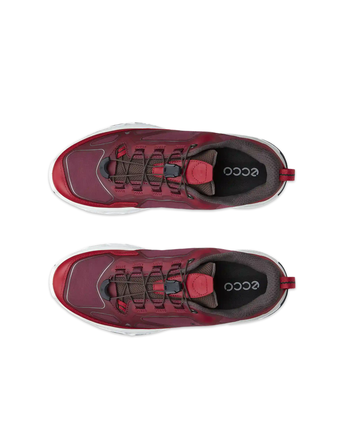 ECCO Receptor XP