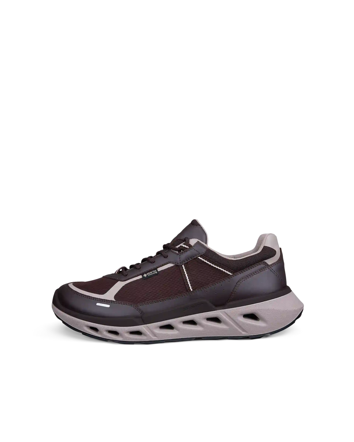 ECCO Biom 720 Gore-Tex