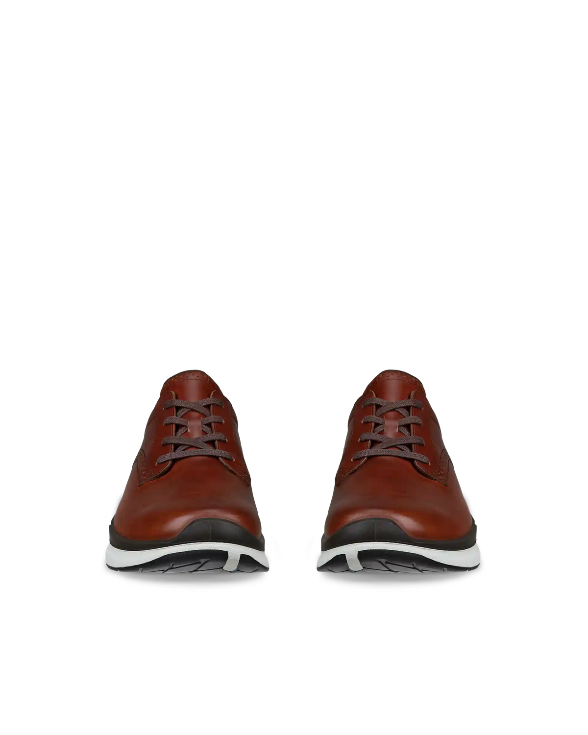 ECCO Biom 2.2