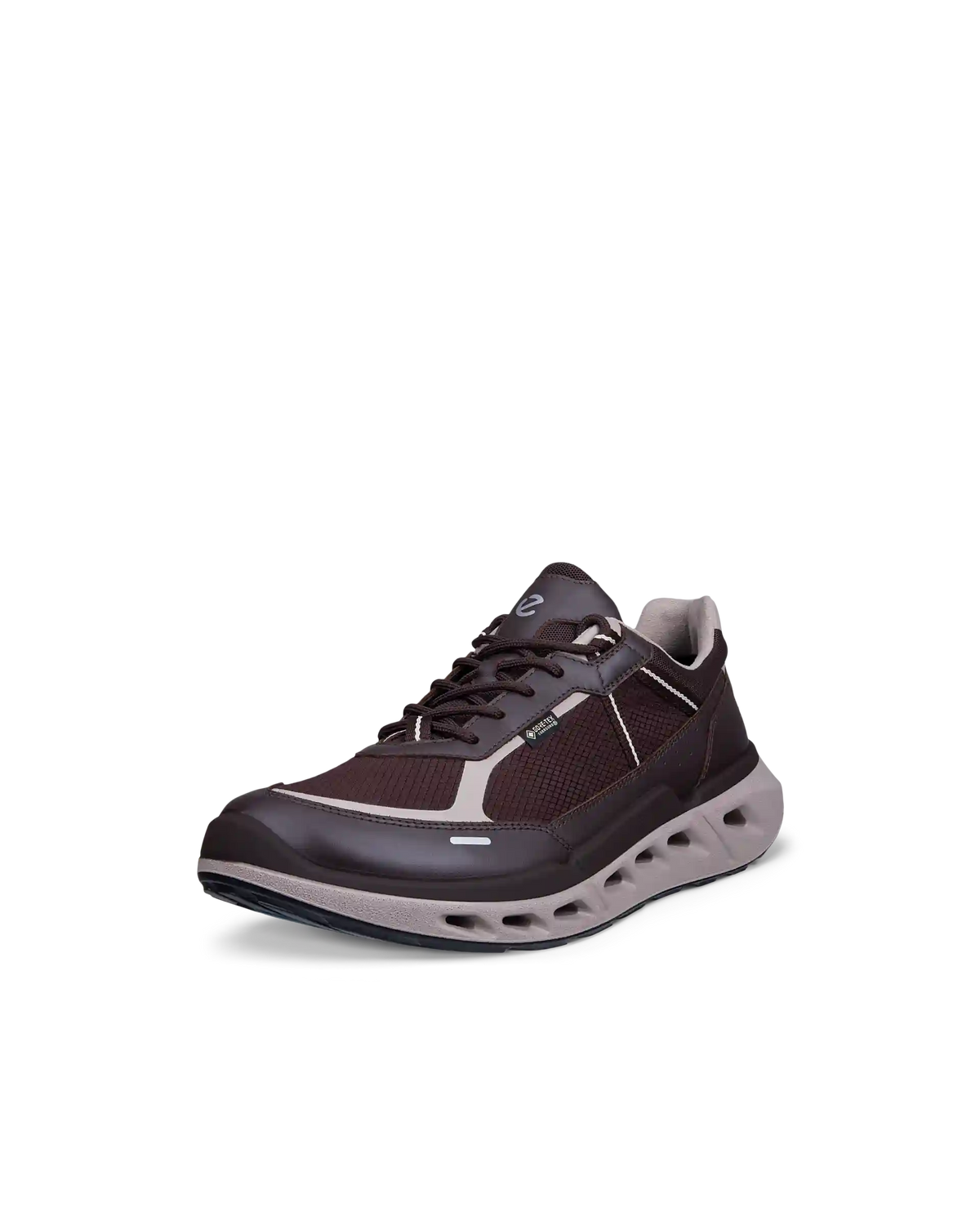 ECCO Biom 720 Gore-Tex