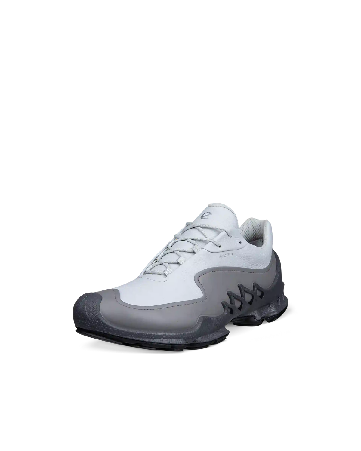 ECCO Biom Aex