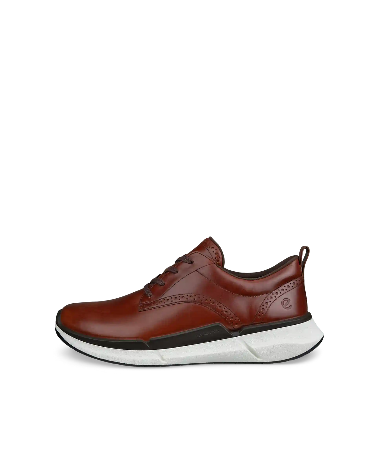 ECCO Biom 2.2
