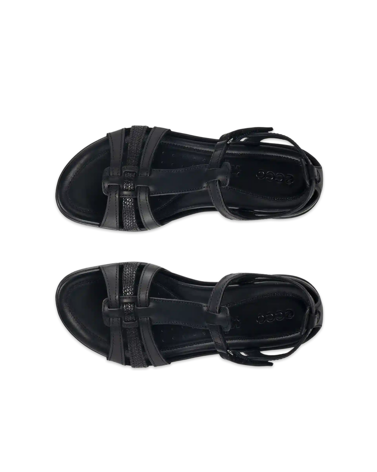 ECCO Flash