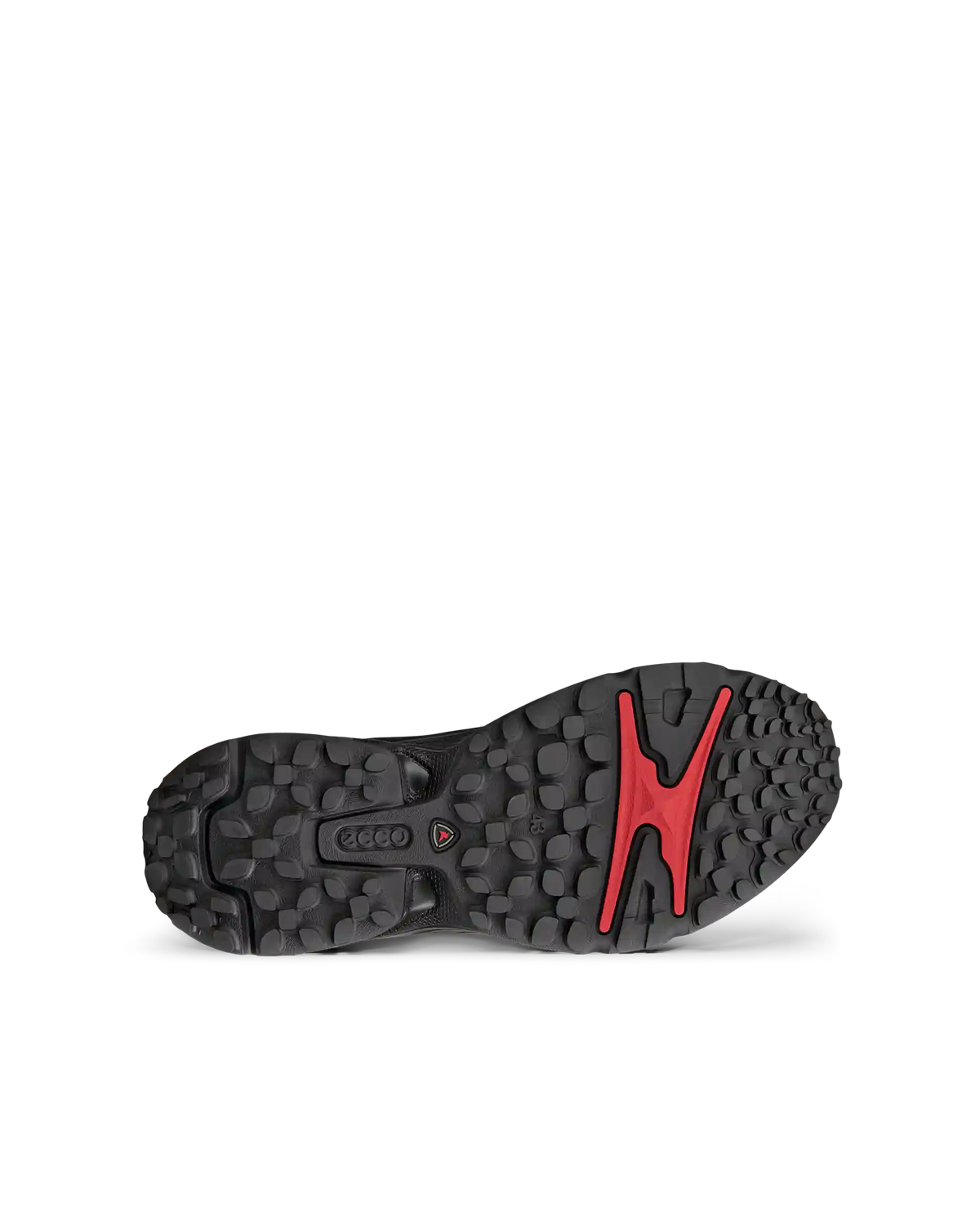 ECCO Receptor Xp