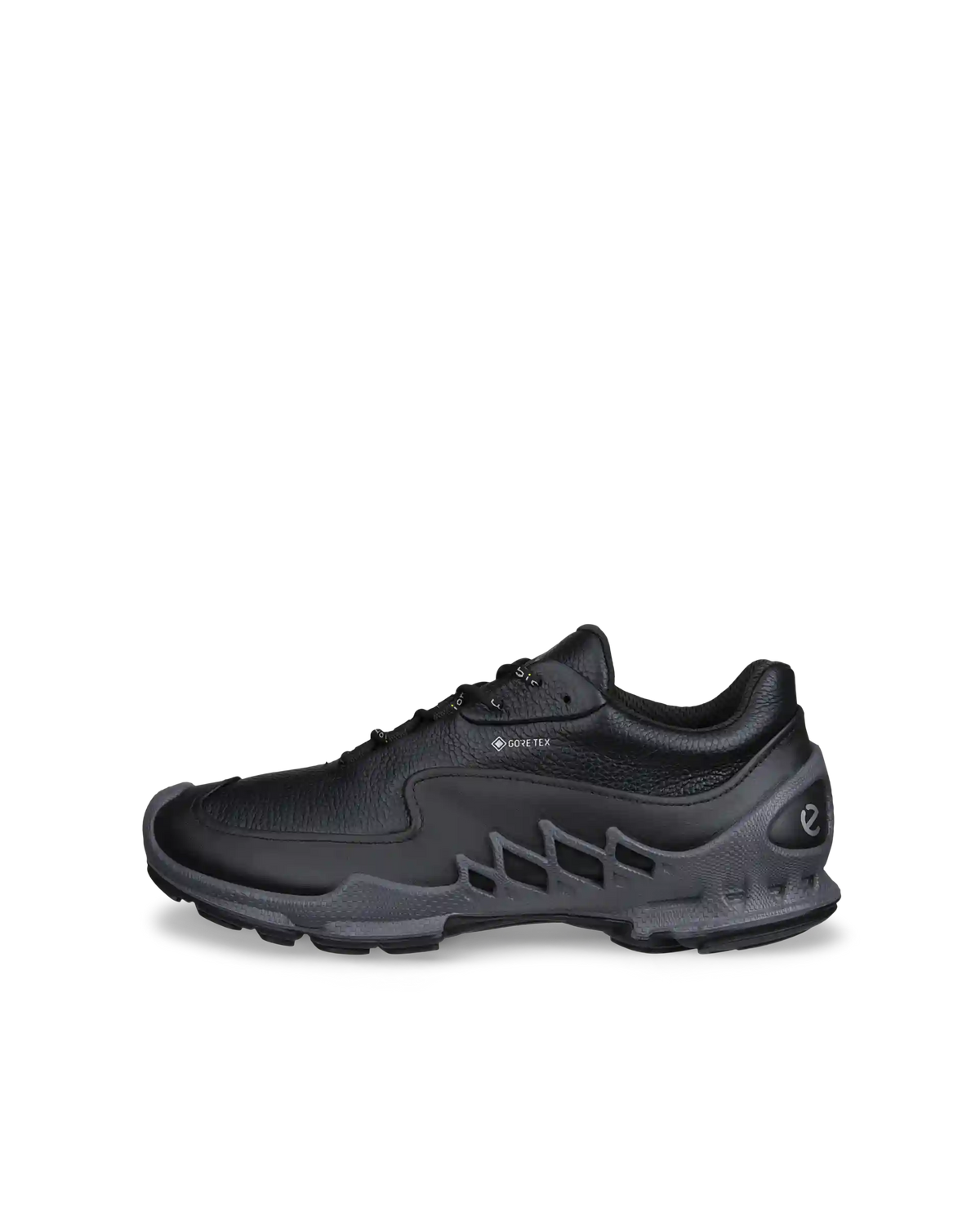 ECCO Biom Aex