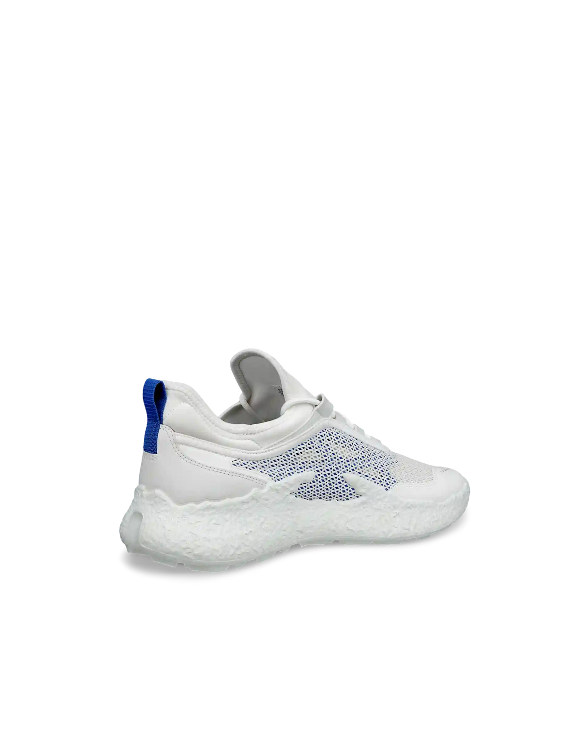 ECCO Golf Biom H5