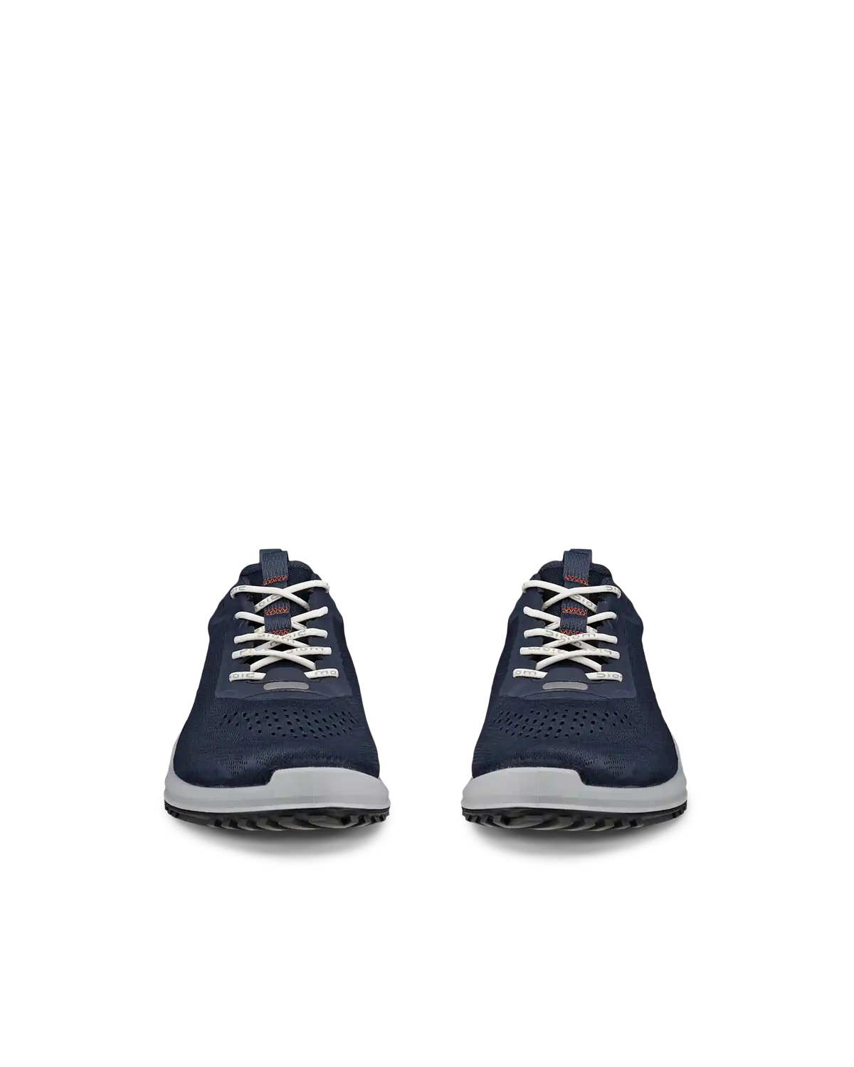ECCO Biom 2.0