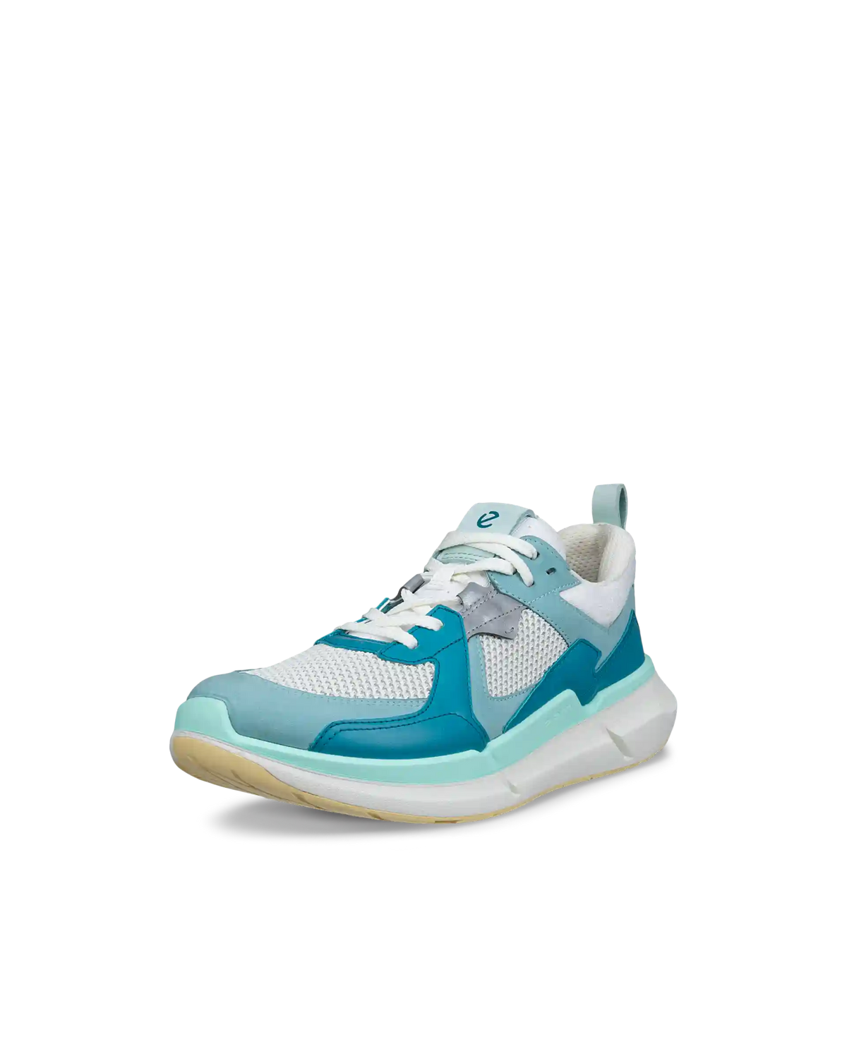 ECCO Biom 2.2