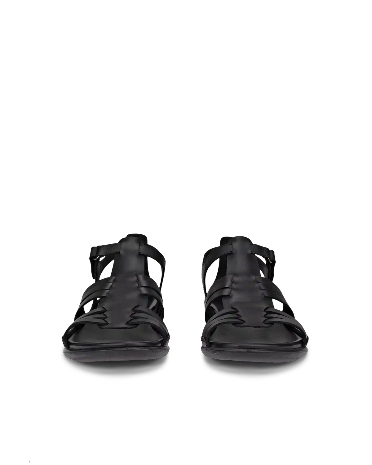 ECCO Flash
