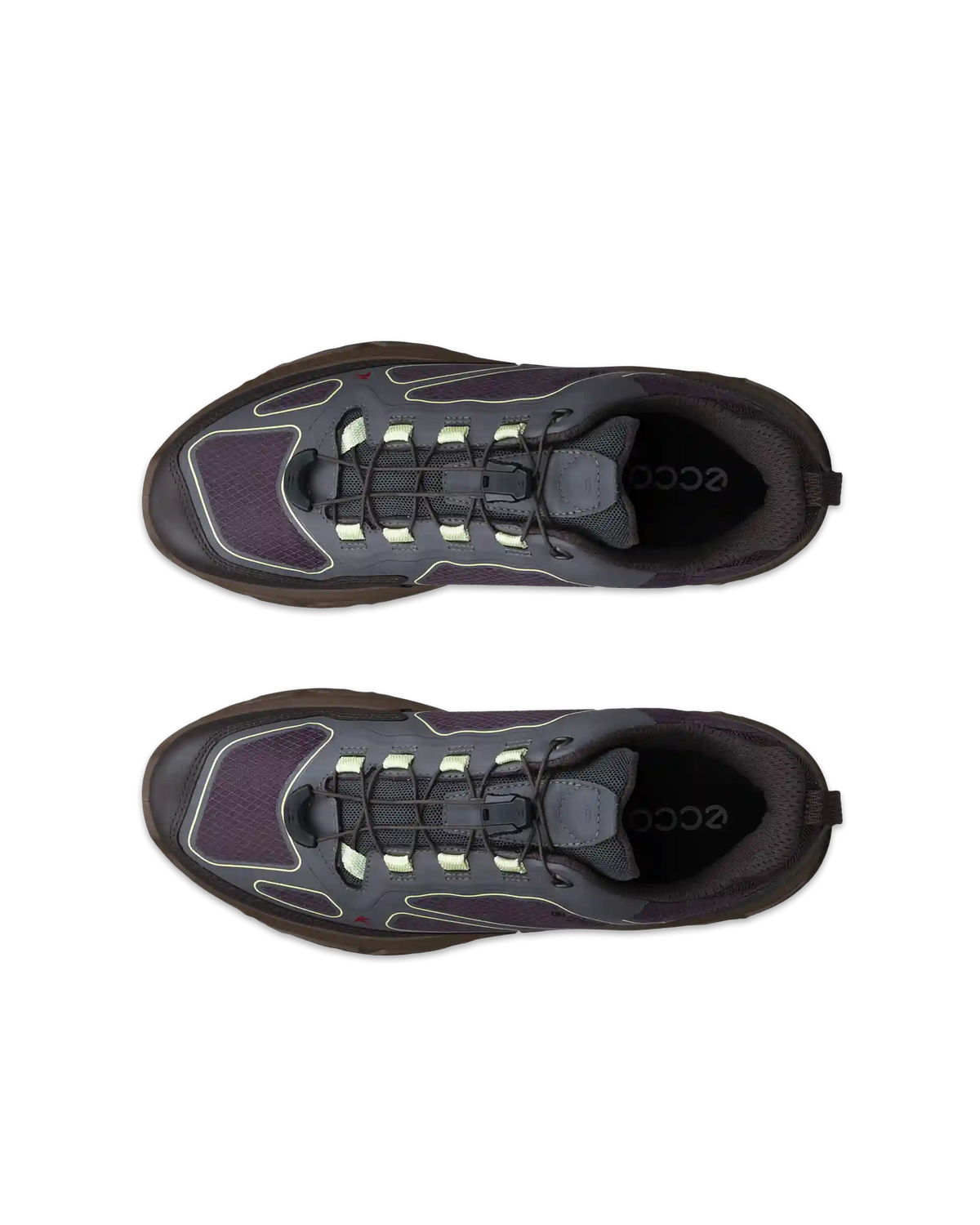 ECCO Receptor Xp