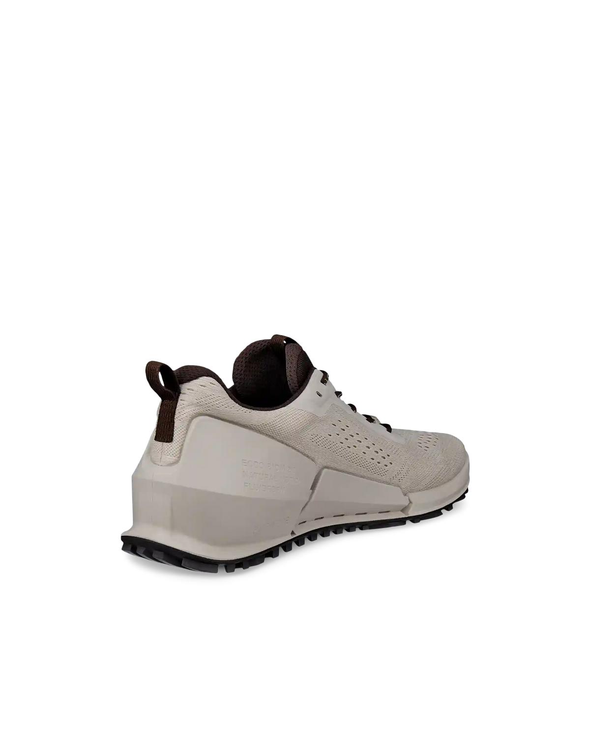 ECCO Biom 2.0