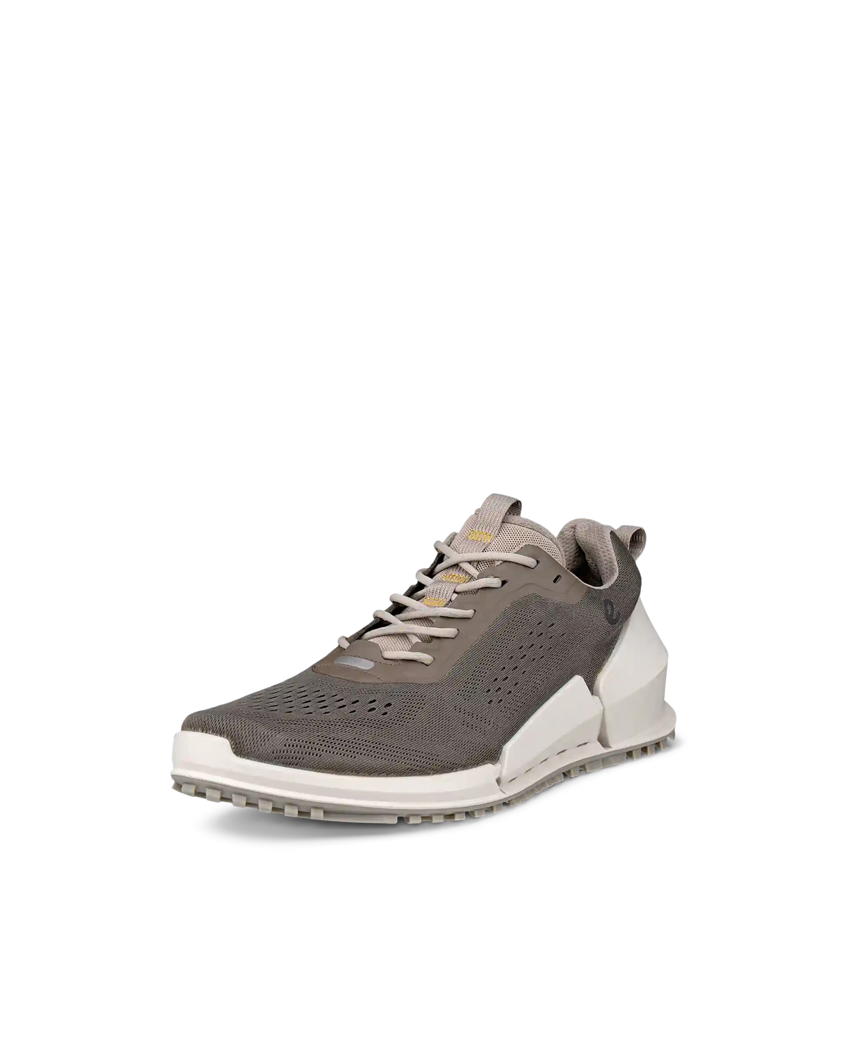 ECCO Biom 2.0