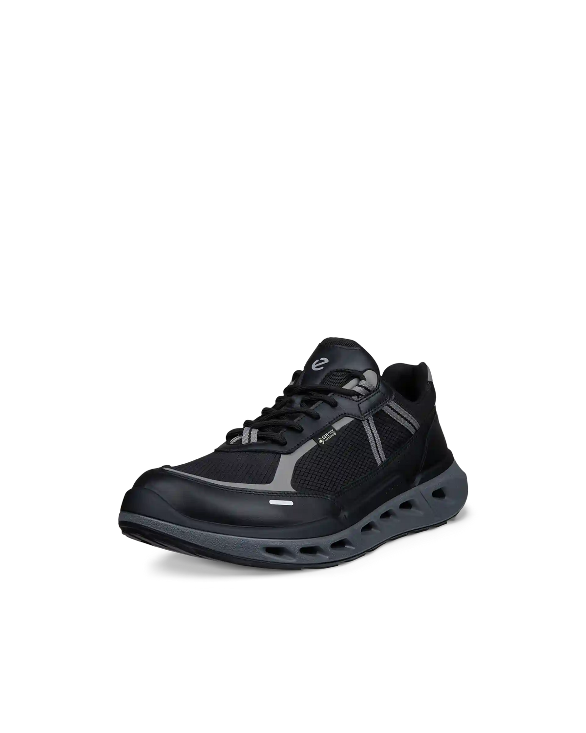 ECCO Biom 720 Gore-Tex