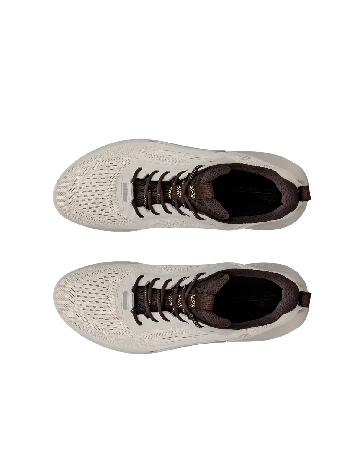 ECCO Biom 2.0