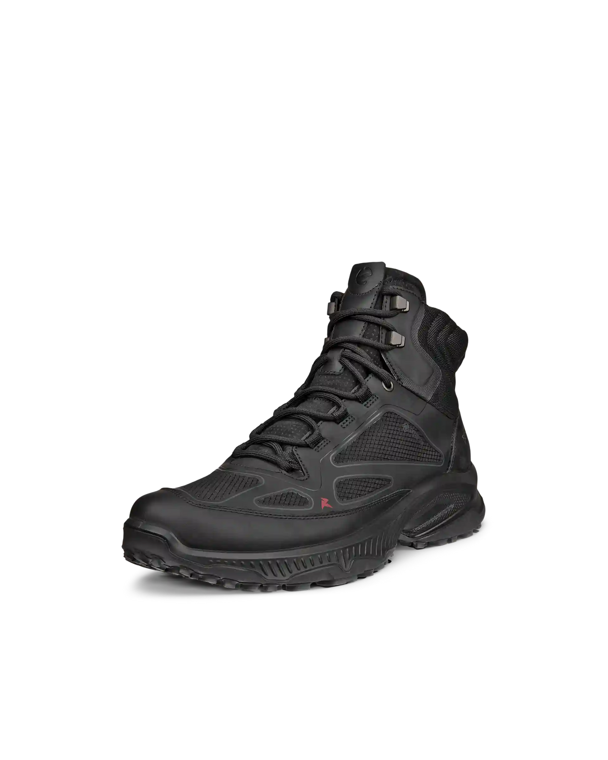 ECCO Receptor Xp