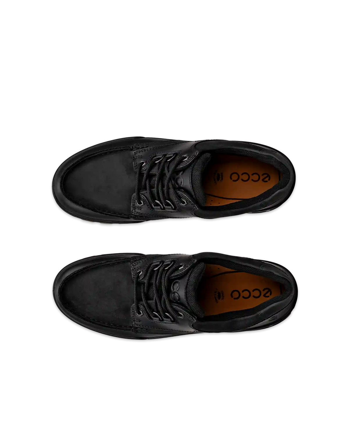 ECCO Track 25