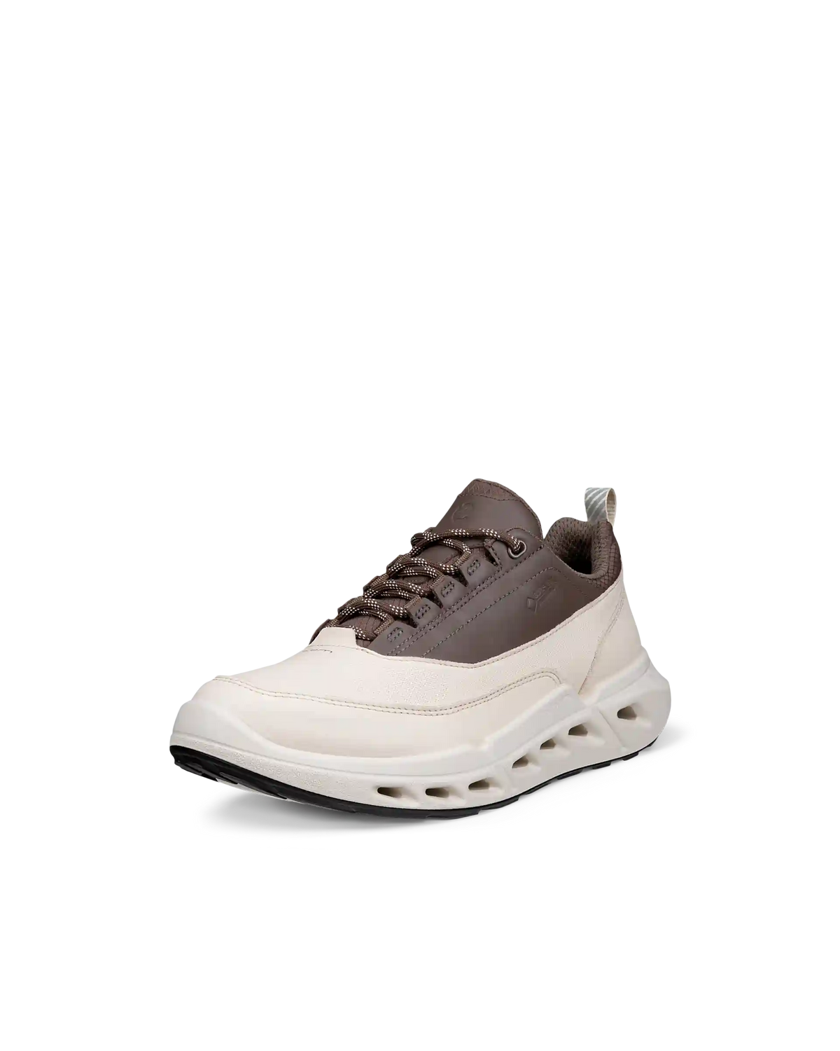 ECCO Biom 720 Gore-Tex