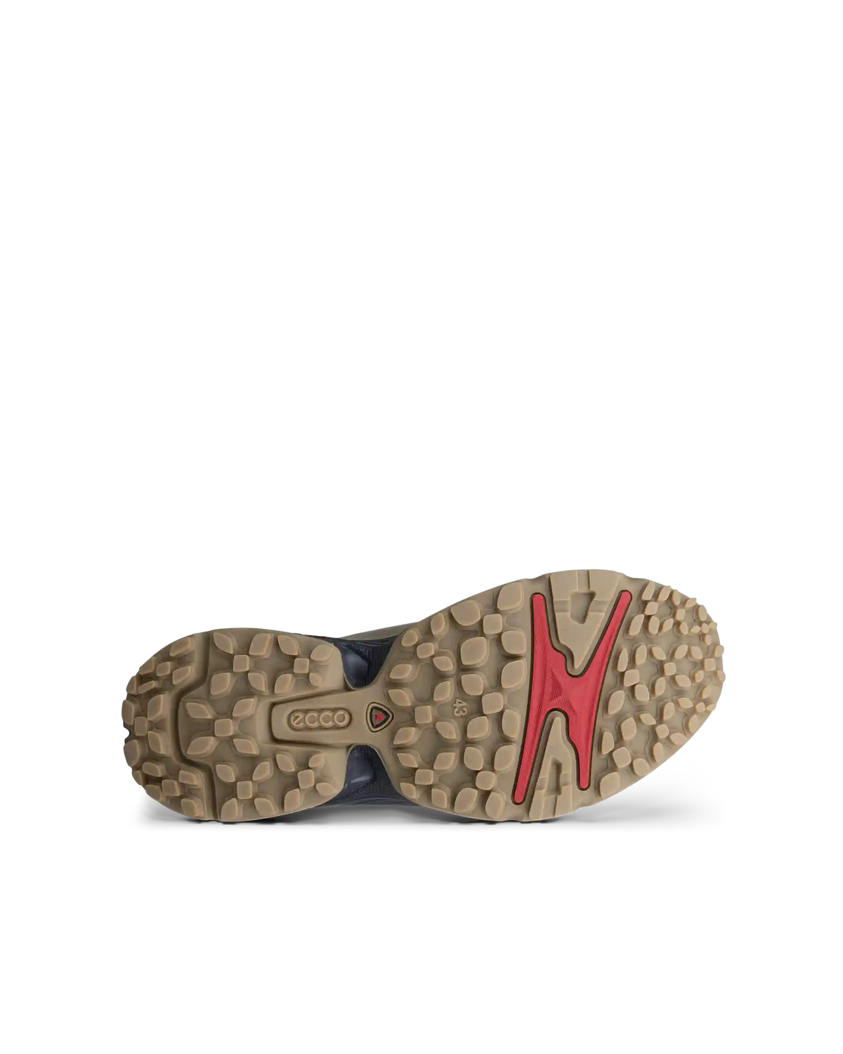 ECCO Receptor XP