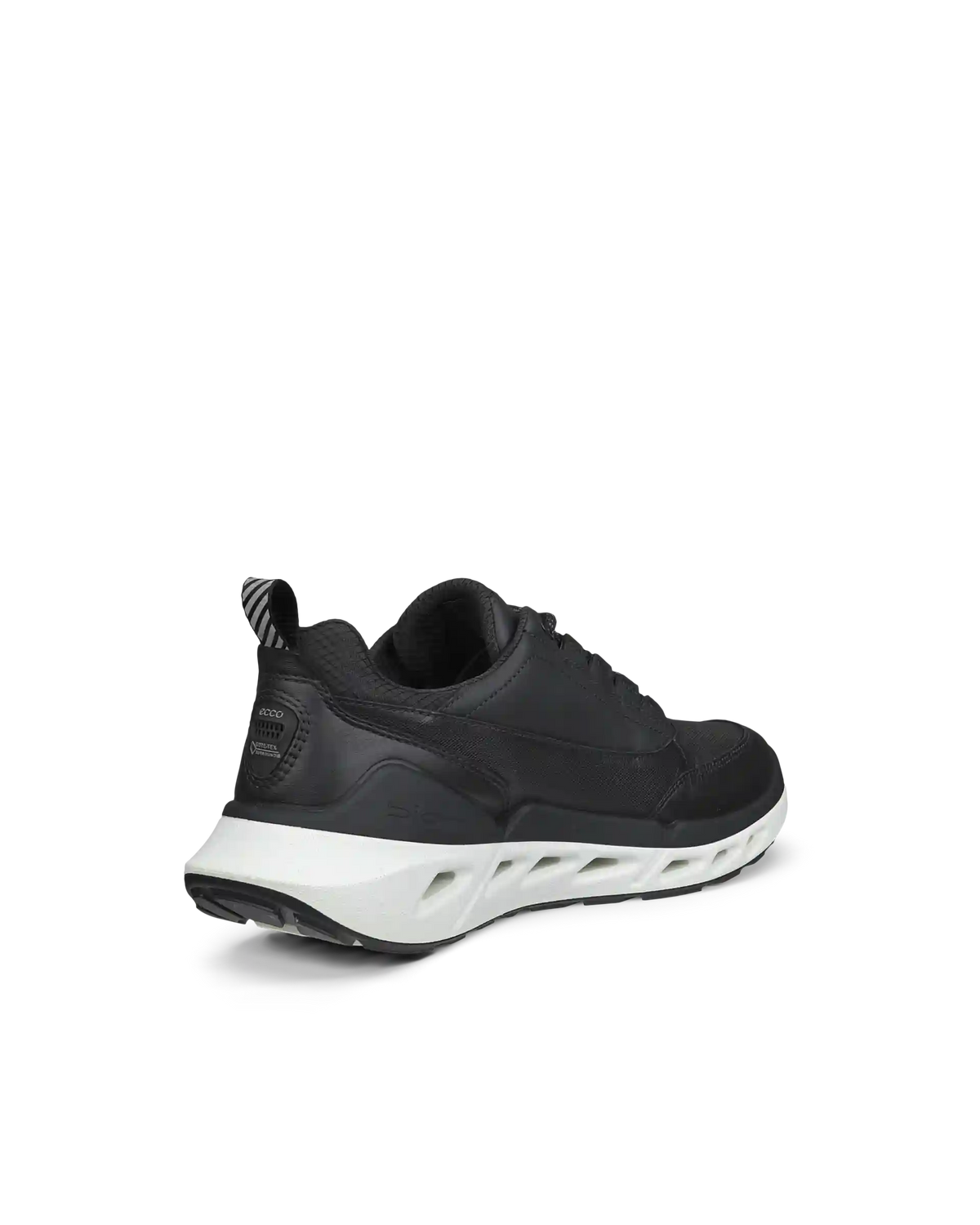 ECCO Biom 720 Gore-Tex