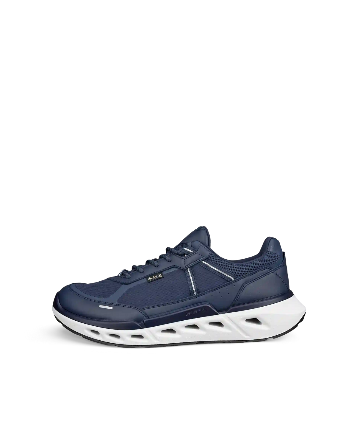 ECCO Biom 720 Gore-Tex