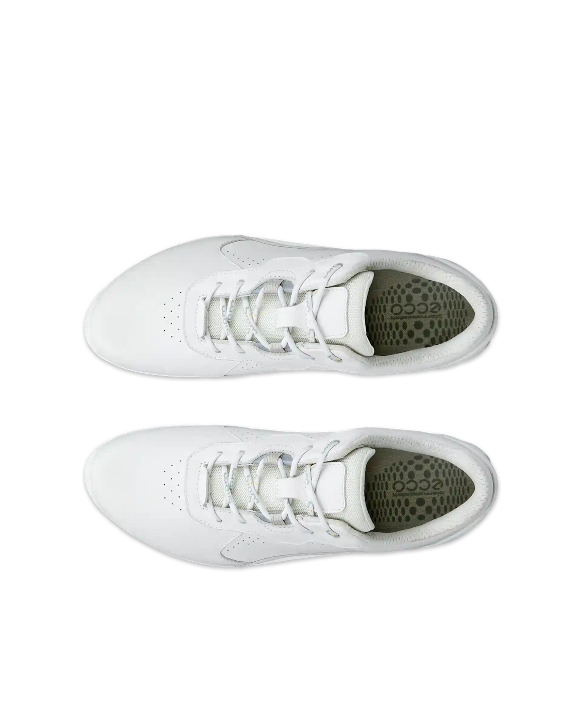 ECCO Biom Energi