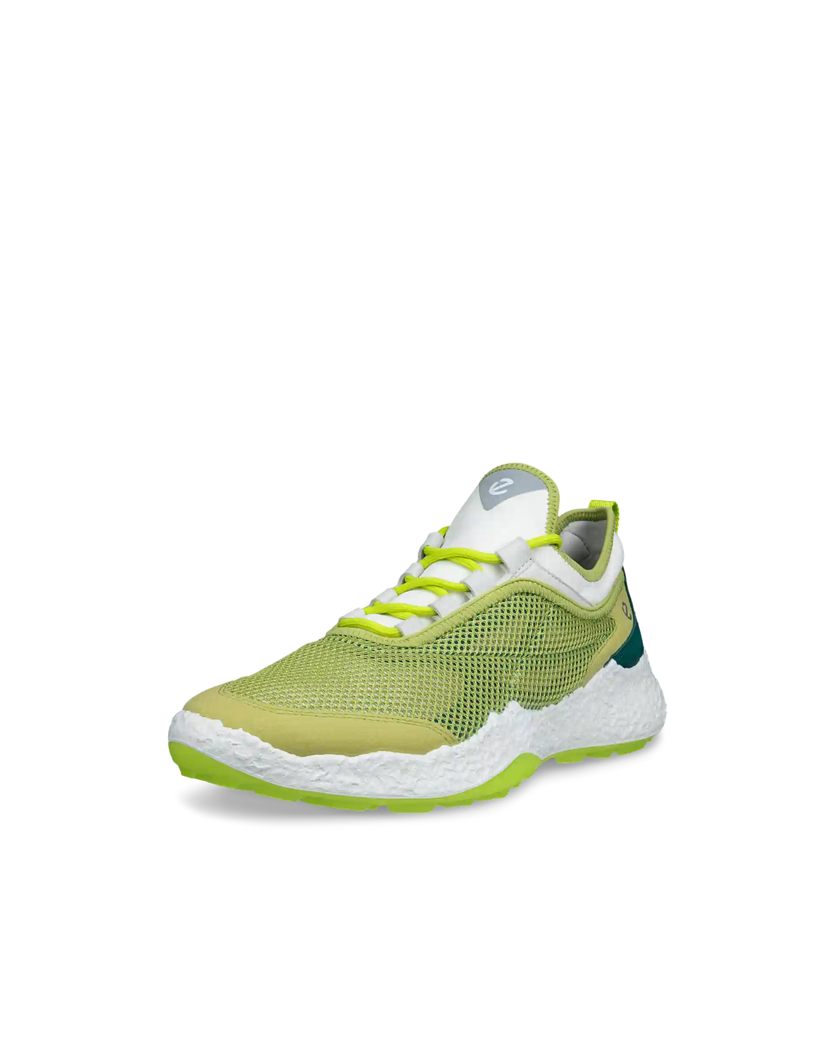 ECCO Golf Biom H5