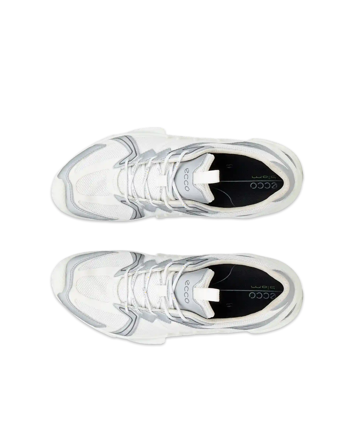 ECCO Biom Aex