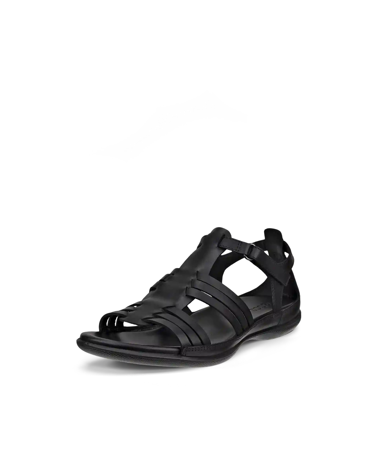 ECCO Flash