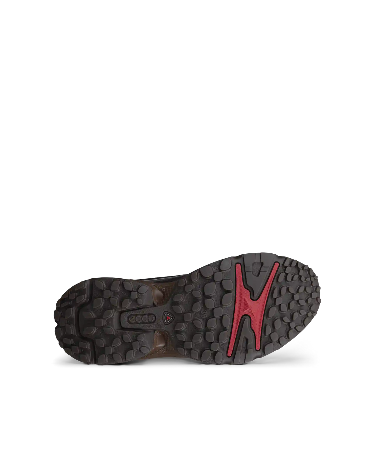 ECCO Receptor Xp