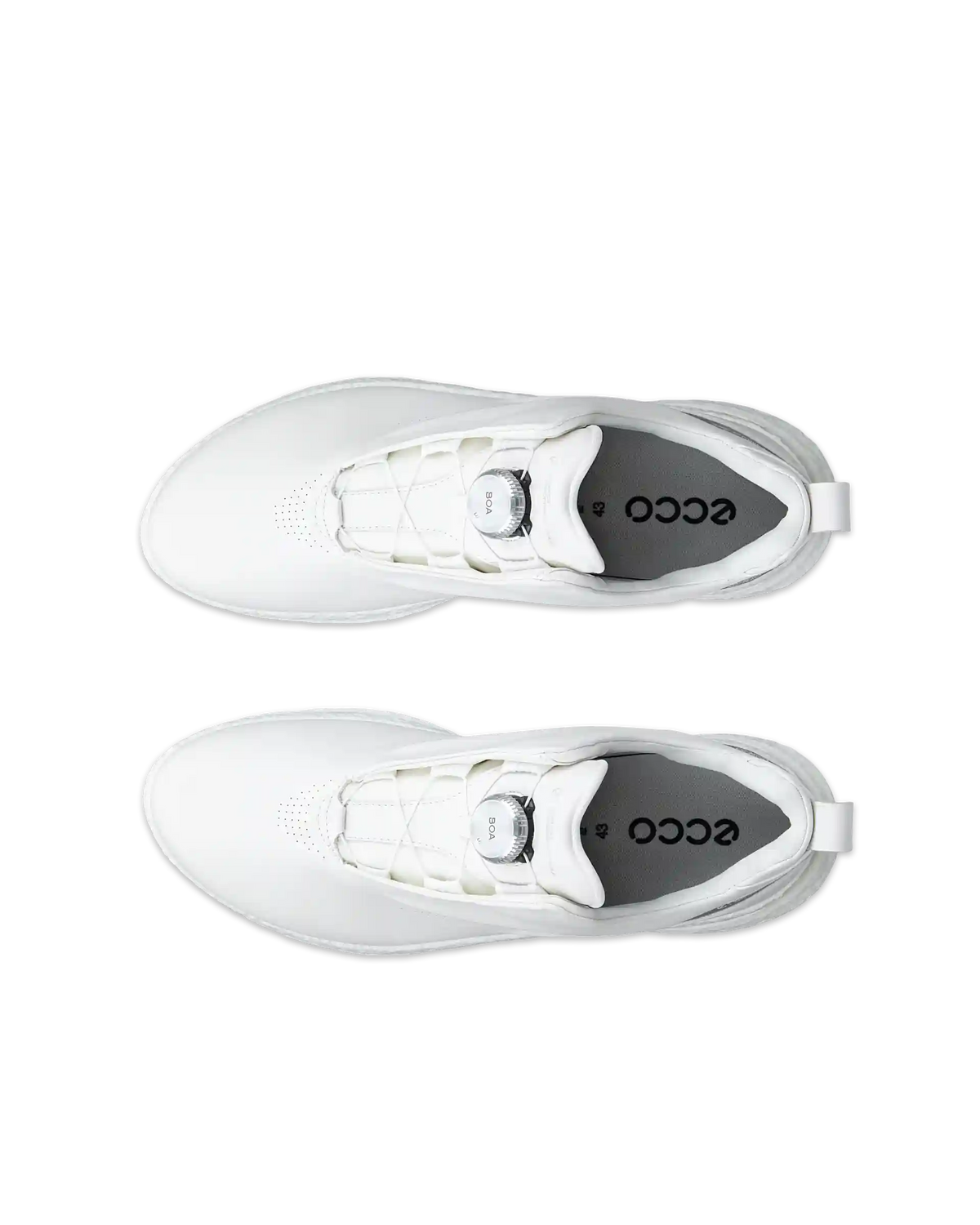 ECCO Golf Biom C5