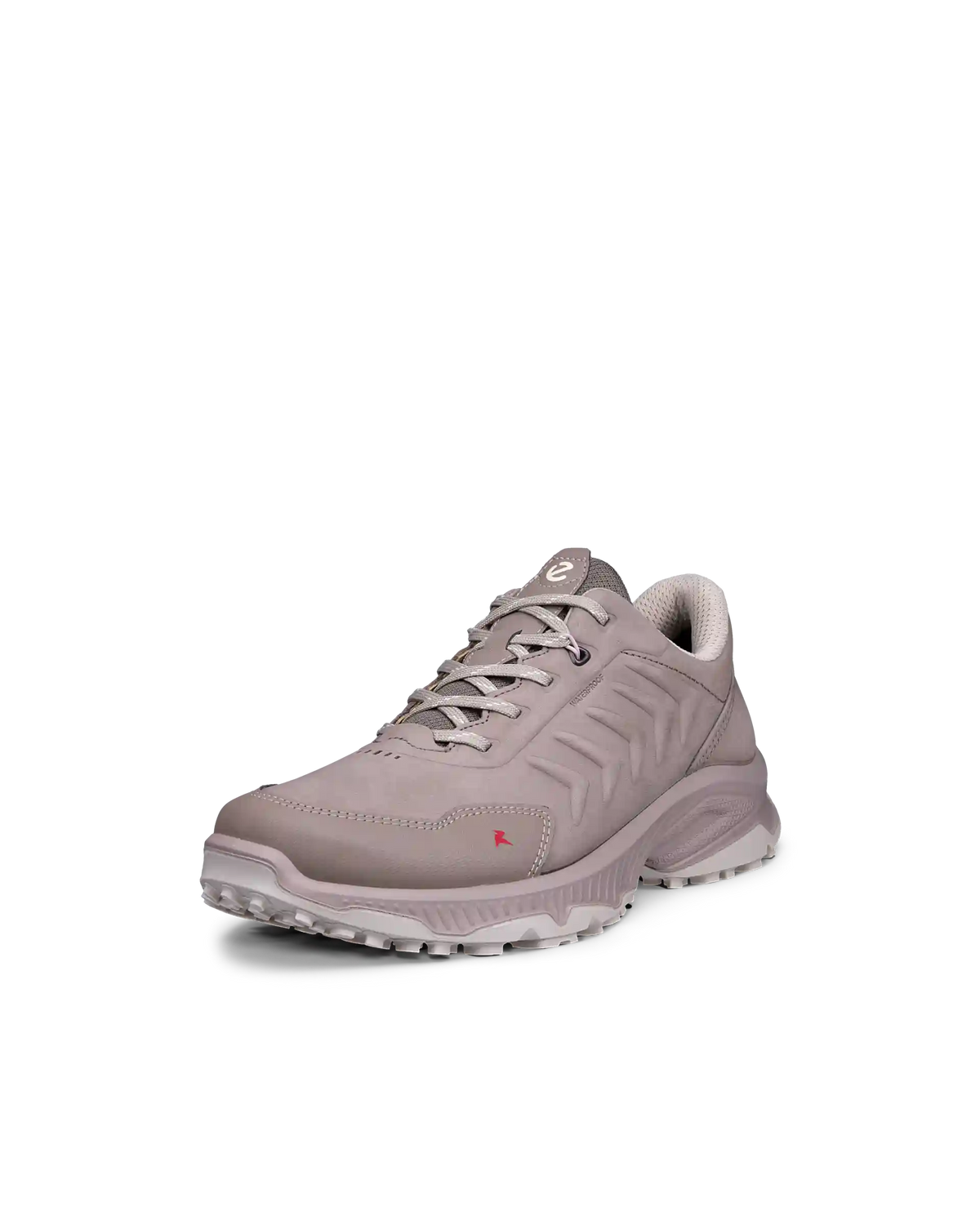 ECCO Receptor XP