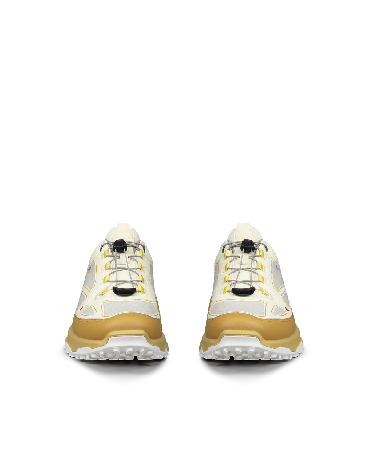 ECCO Receptor Xp