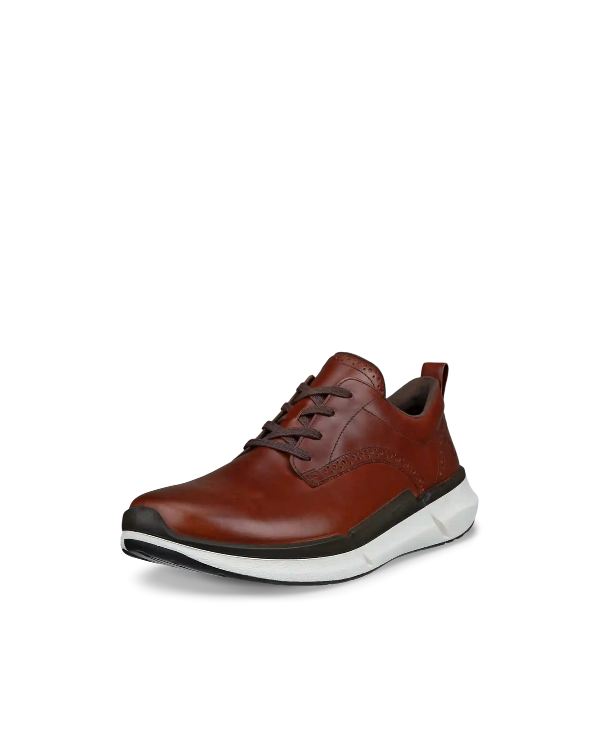 ECCO Biom 2.2