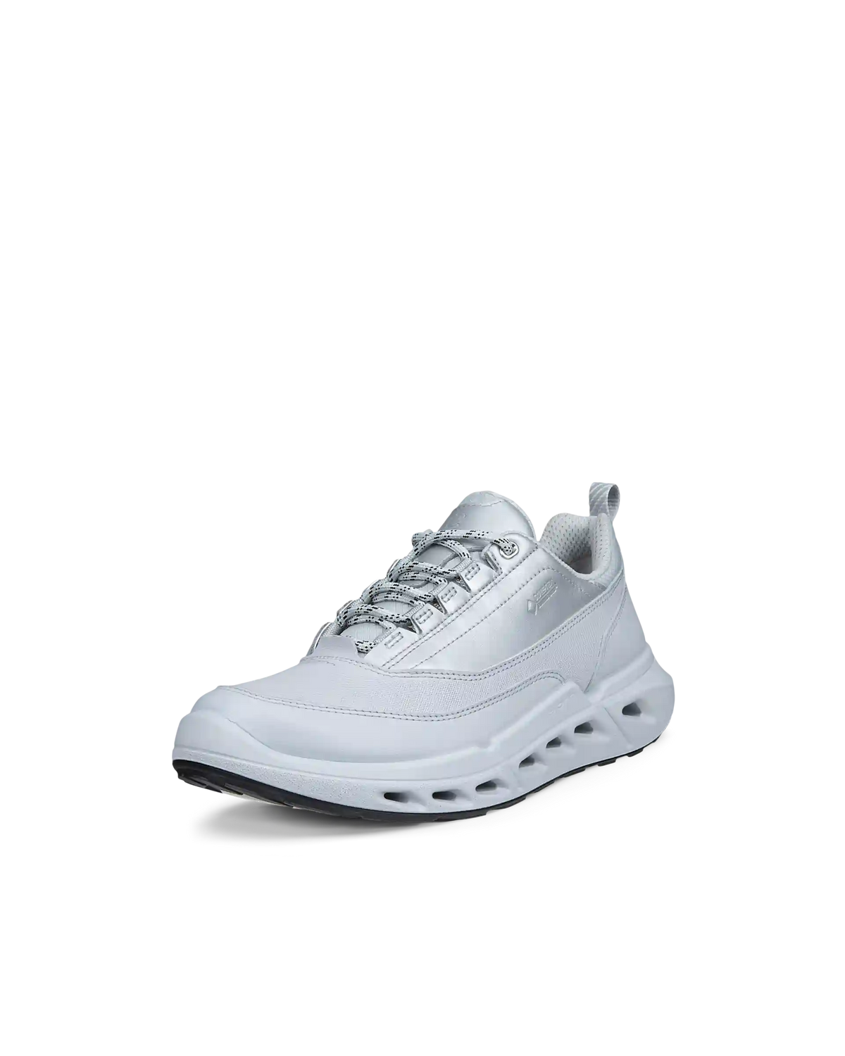 ECCO Biom 720 Gore-Tex