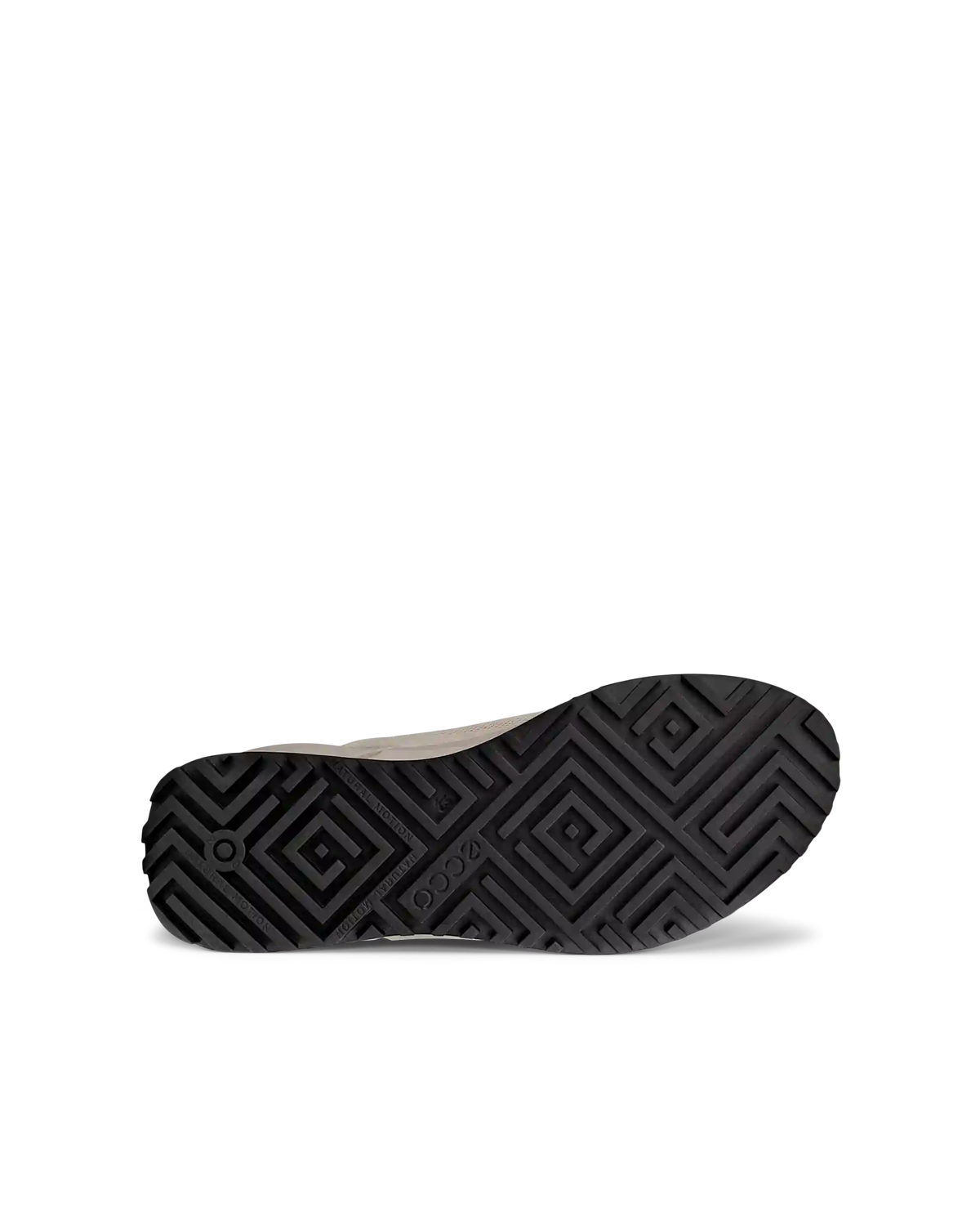 ECCO Biom 2.0