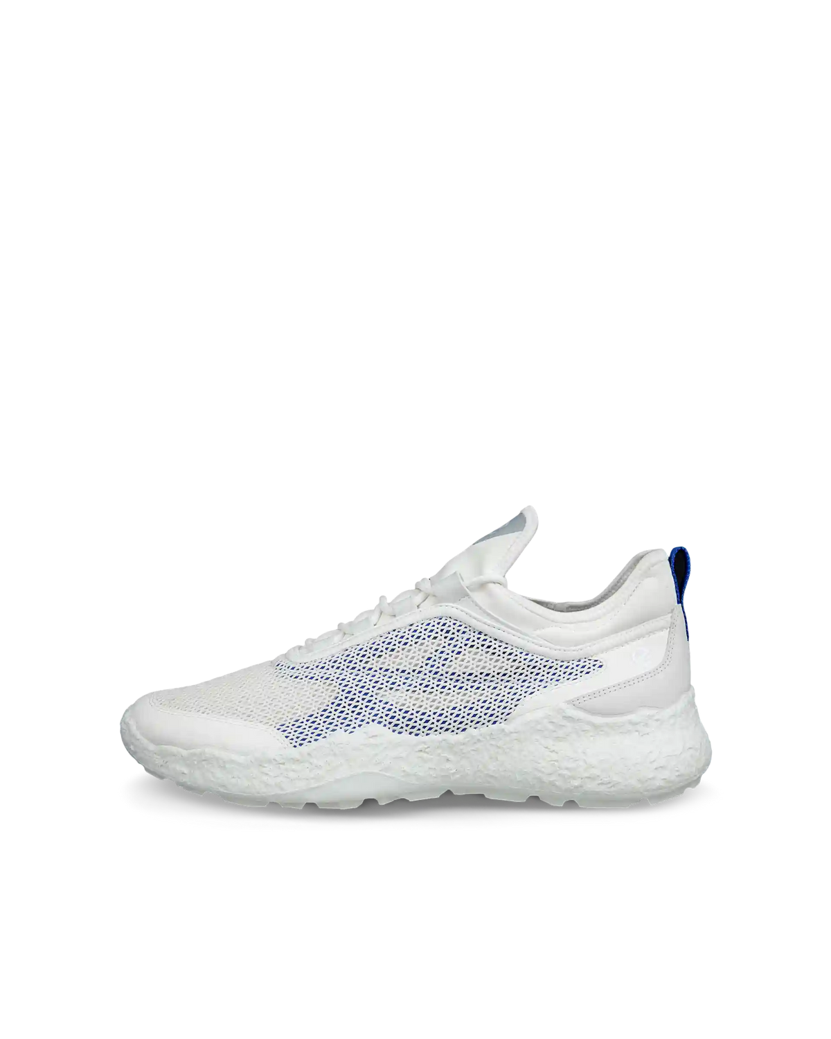 ECCO Golf Biom H5