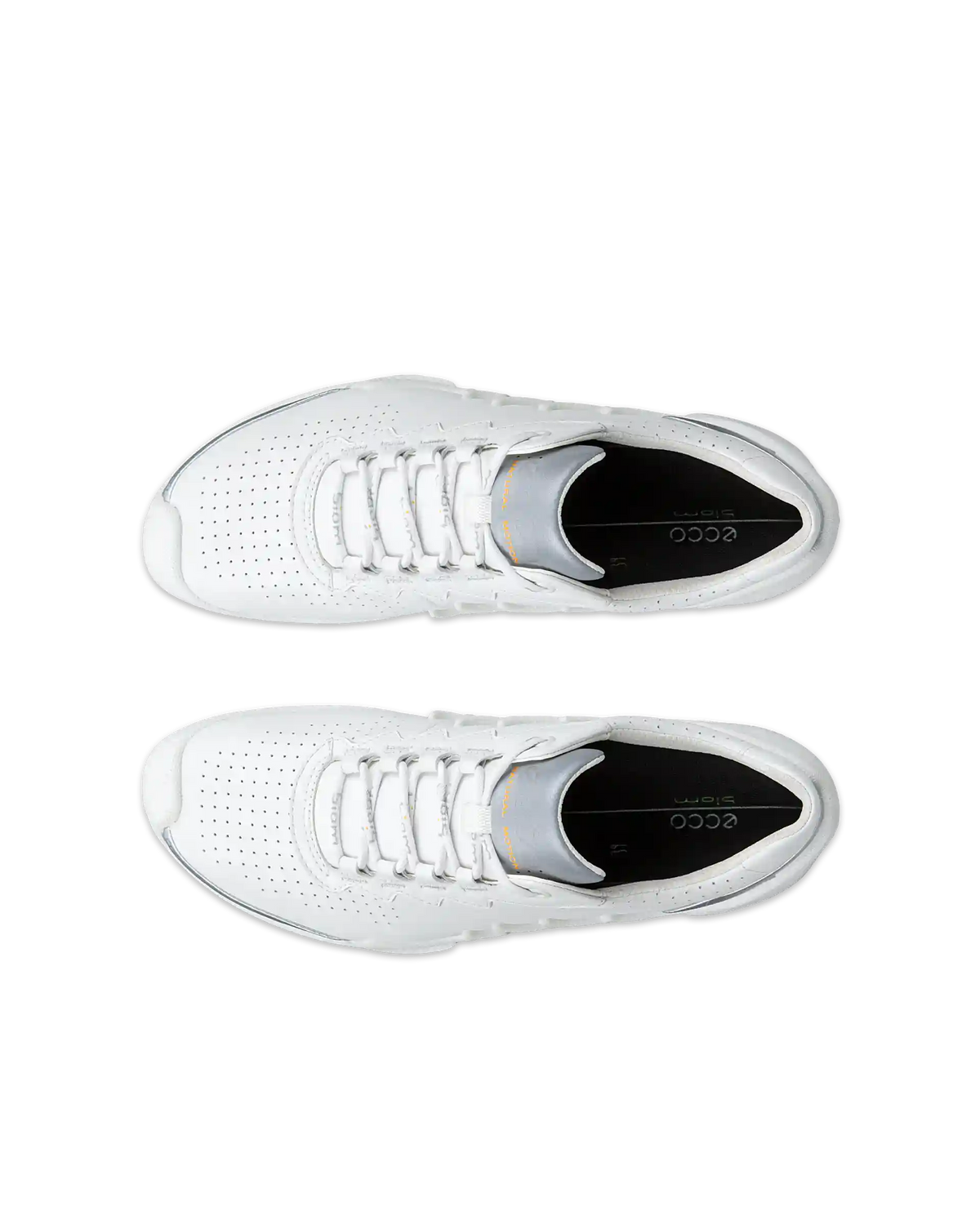 ECCO Biom Aex