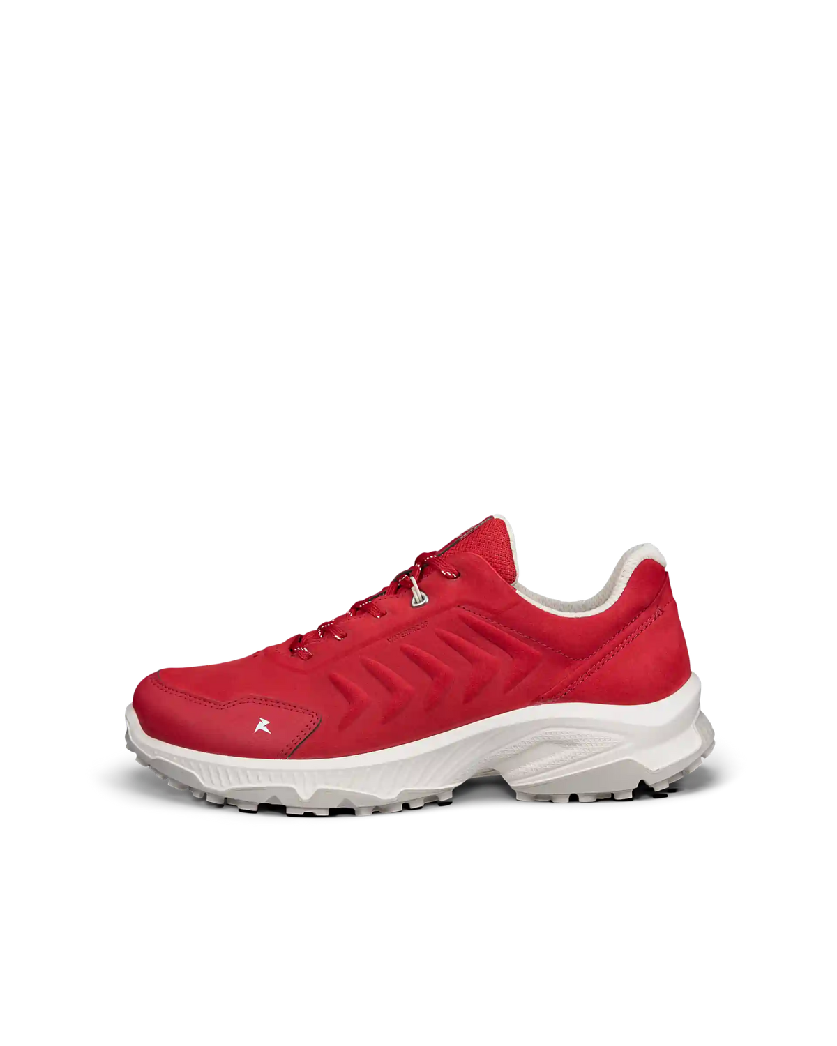 ECCO Receptor XP