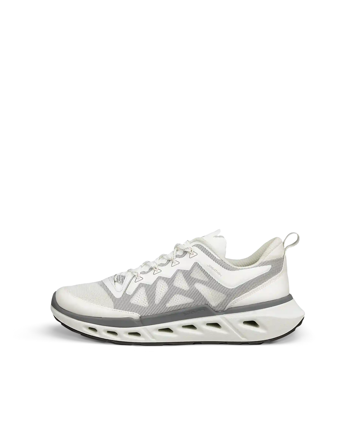 ECCO Biom 720 Breathru