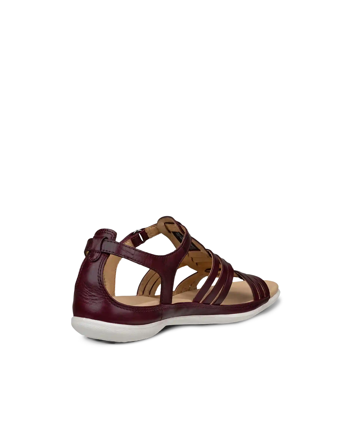 ECCO Flash