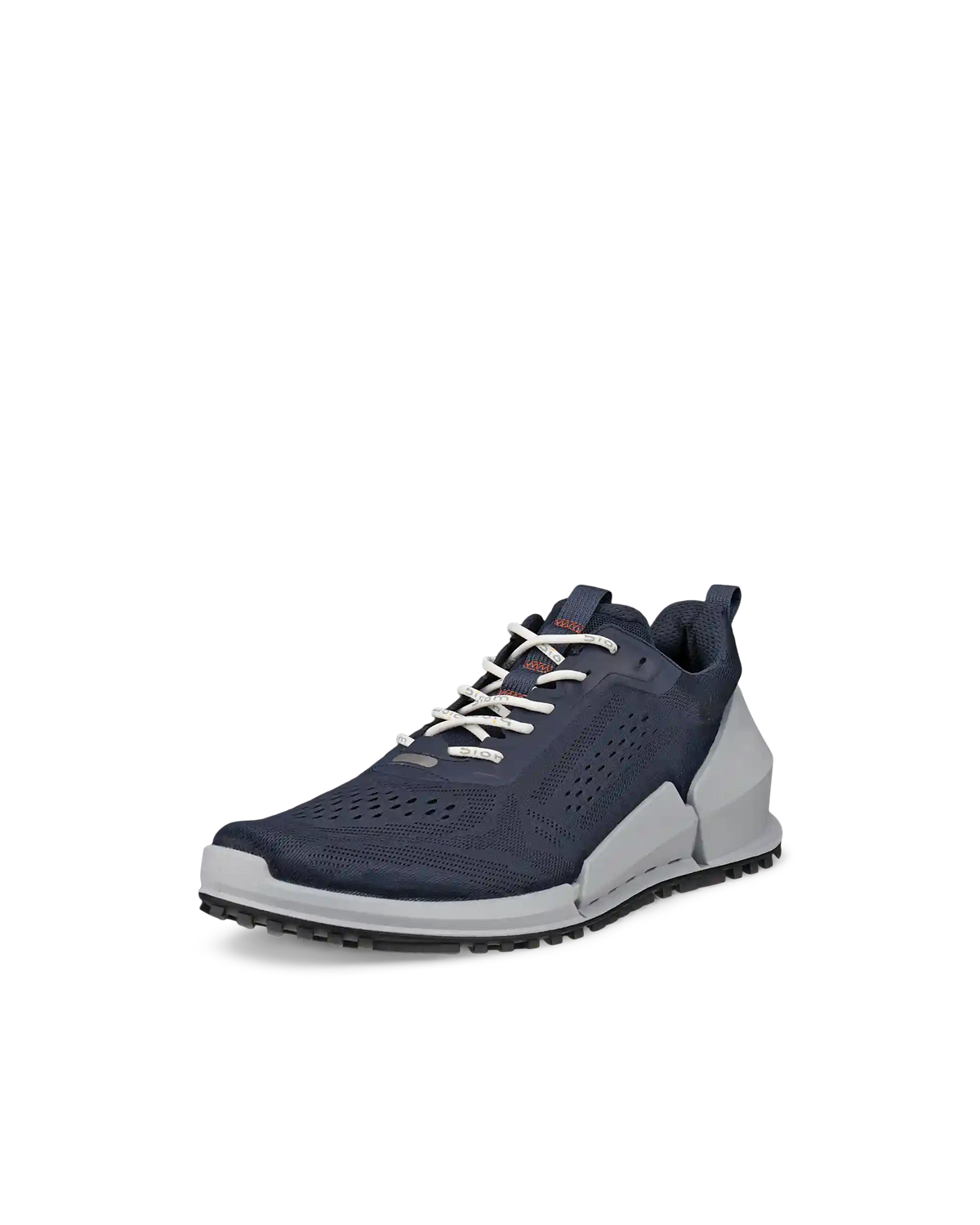 ECCO Biom 2.0