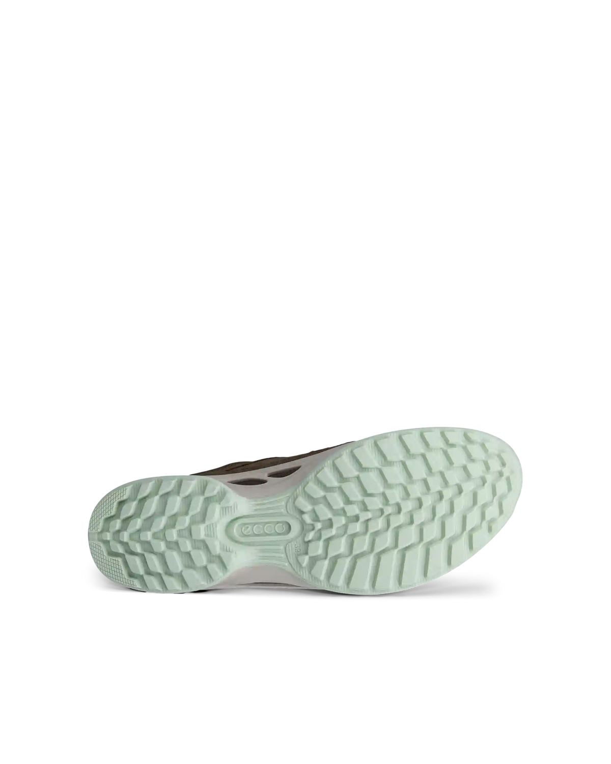 ECCO Biom Energi